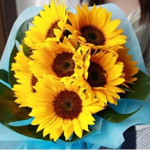 ひまわり10本の花束 母の日誕生日お祝い事サプライズの ひまわり10本の花束 母の日誕生日お祝い事サプライズの