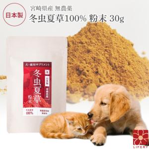 犬 猫 ペット 免疫 サプリメント 冬虫夏草 コルジセピン 粉末 健康食品 30g｜霊芝・冬虫夏草の店