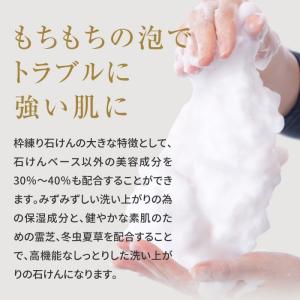洗顔 洗顔石鹸 せっけん スキンケアトライアル...の詳細画像5