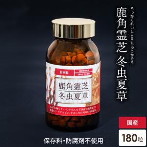 サプリメント 霊芝 サプリ 鹿角霊芝 冬虫夏草 約30日分 免疫 健康食品 βグルカン 国産 送料無料 10％OFF