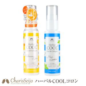 INIOS+ イニオスプラス デオドラントクリーム 45g 2個 イニオスプラス 45g デオドラントクリーム 制汗剤 INIOS+ 医薬部外品
