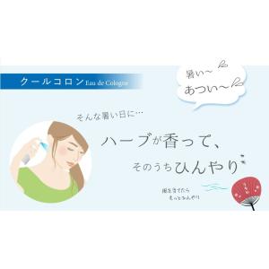 冷却スプレー 制汗 デオドラント 冷感 クール...の詳細画像3