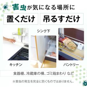 ゴキブリ駆除剤 森の生活 ゴキのテキ 4個 セ...の詳細画像3