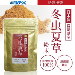 サプリメント 冬虫夏草 日本製 サプリ 免疫 30g 健康 10%OFF