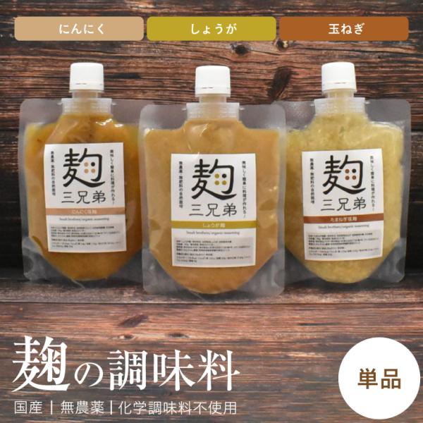 塩麹 無添加 塩こうじ 単品 にんにく しょうが たまねぎ 無農薬 腸 オーガニック 玉ねぎ麹