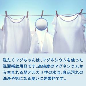 マグちゃん 洗濯 洗濯マグちゃん 2個 セット...の詳細画像2