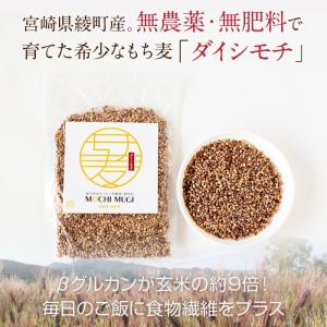 もち麦 もちむぎ 300g 無農薬 無肥料 自...の詳細画像1