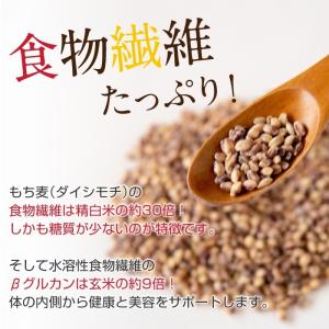 もち麦 もちむぎ 300g 無農薬 無肥料 自...の詳細画像3