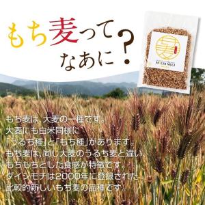 もち麦 もちむぎ 300g 無農薬 無肥料 自...の詳細画像4