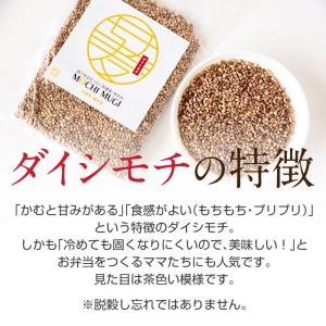 もち麦 もちむぎ 300g 無農薬 無肥料 自...の詳細画像5