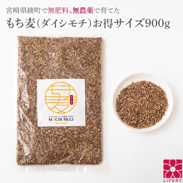 国産 無農薬 もち麦 もちむぎ 2kg 自然栽培 ダイシモチ 宮崎県産 食物繊維 スーパーフード