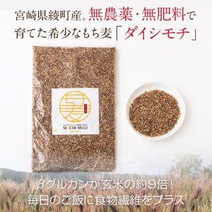 もち麦 もちむぎ 900g 無農薬 無肥料 自...の詳細画像1