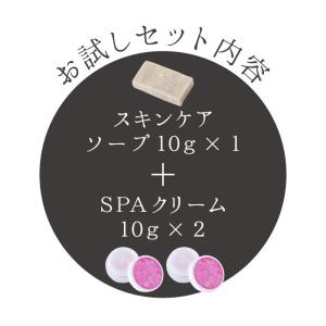 スキンケアトライアルセット お試し 霊芝 冬虫...の詳細画像2