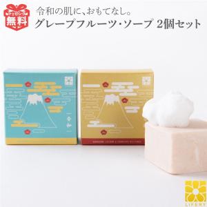 ヴィブリアン エスプリーナ RGII 濃密炭酸 マイクロミセラー バブル
