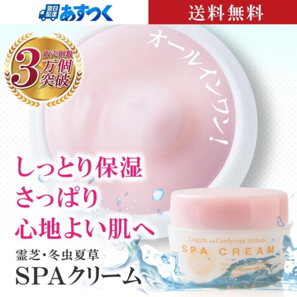 オールインワンスキンケア 霊芝 冬虫夏草 SPA クリーム 80g 30代 40代 50代 60代