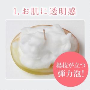 洗顔石鹸 洗顔 石鹸 せっけん 石けん 霊芝 ...の詳細画像5