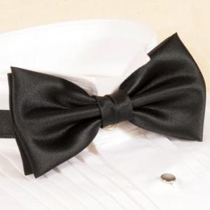 蝶ネクタイ 蝶タイ ボウタイ メンズ フォーマ...の詳細画像1