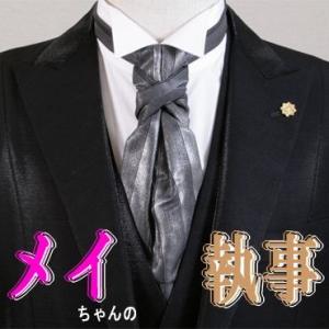 ARAMIS アスコットタイ グレー ストライプ ブローチ付 ユーロタイ メンズ AS7312-KP...