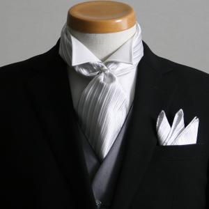 アスコットタイ チーフ セット シルバー ぺイズリー シルク100