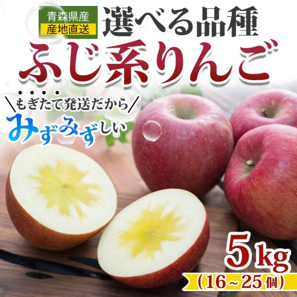 お歳暮 りんご 青森県産 りんご 宮美ふじ 5Kg 16〜25玉入り リンゴ ふじ シナノスイート ...