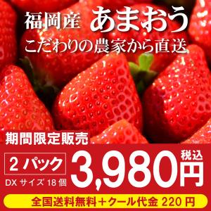 いちご 苺 あまおう 260g×2パック 福岡 糸島 産地直送 送料無料 ギフト クール便 イチゴ フルーツ