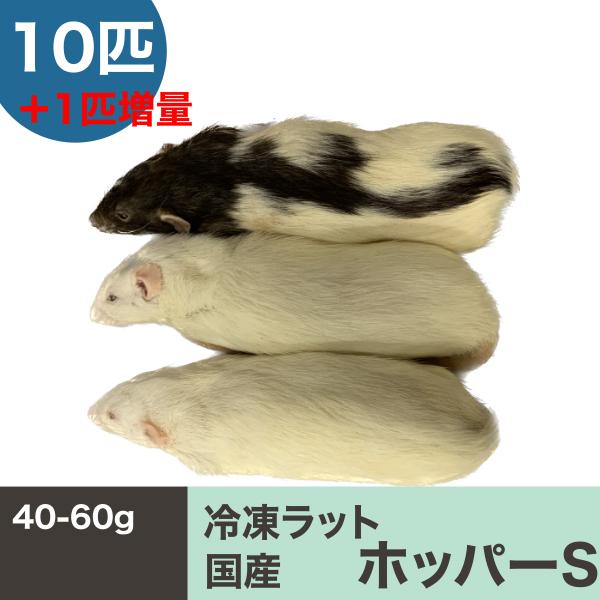 ホッパーSラット　（１０匹）　増量　冷凍マウス　冷凍ラット　国産　約４０−６０ｇ　5980円以上で送...