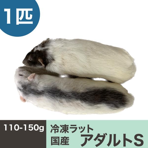 アダルトSラット　（１匹）　冷凍マウス　冷凍ラット　国産　約１１０−１５０ｇ　5980円以上で送料無...