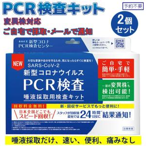 PCR検査キット コロナウイルス検査キット PCR検査 自宅で検査 セルフ検査 新型コロナ 2個セット 唾液採取用 東亜産業予約不要 痛みなし TOAMIT