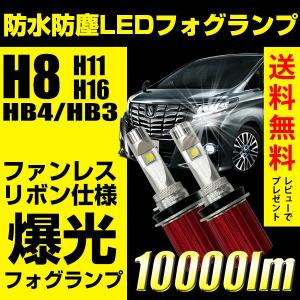 LED フォグランプ専用 ファンレス H8/H11/H16/HB4/HB3/H10 10000ルーメン 防水 防塵