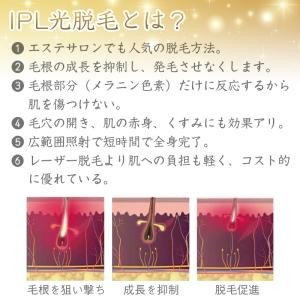 母の日 【定価15,400円→3,980円】I...の詳細画像3