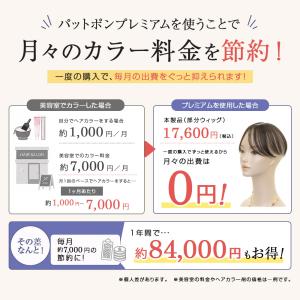 ピンなし 部分かつら PP01 パットポンプレ...の詳細画像1