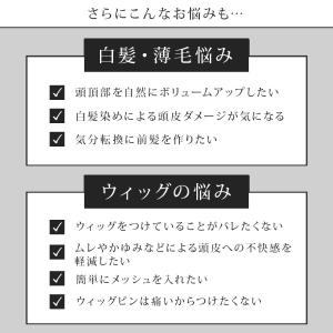 ピンなし 部分かつら PP01 パットポンプレ...の詳細画像4