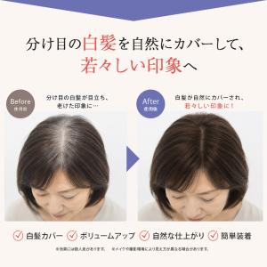 ピンなし 部分かつら PP01 パットポンプレ...の詳細画像2
