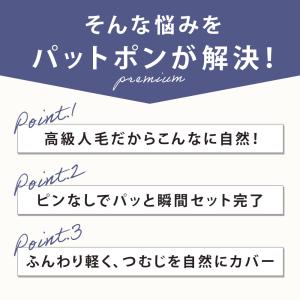 ピンなし 部分かつら PP01 パットポンプレ...の詳細画像5