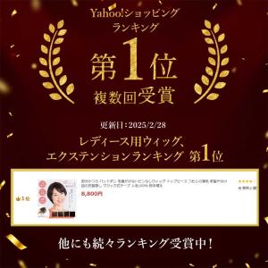 毛量少なめ ピンなし 部分かつら PP02 パ...の詳細画像1
