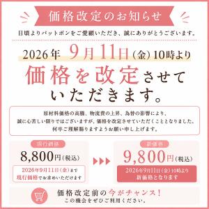 毛量少なめ ピンなし 部分かつら PP02 パ...の詳細画像1
