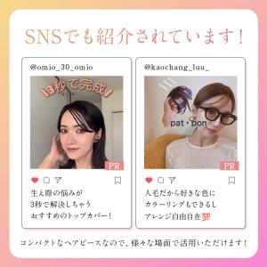 毛量少なめ ピンなし 部分かつら PP02 パ...の詳細画像3