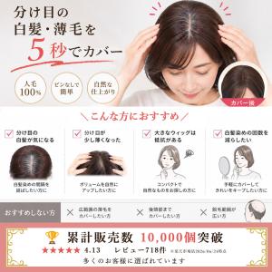 毛量少なめ ピンなし 部分かつら PP02 パ...の詳細画像3