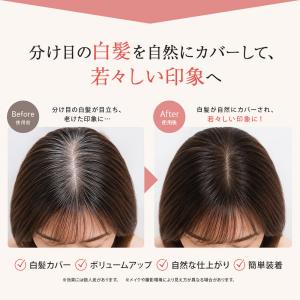 毛量少なめ ピンなし 部分かつら PP02 パ...の詳細画像5