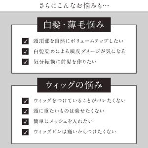 毛量少なめ ピンなし 部分かつら PP02 パ...の詳細画像5