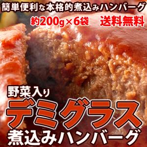 送料込み(送料無料) ハンバーグ 野菜入り デミグラス煮込みハンバーグ 約200g×6袋 お試し ポイント消化(発送遅いです) TEN