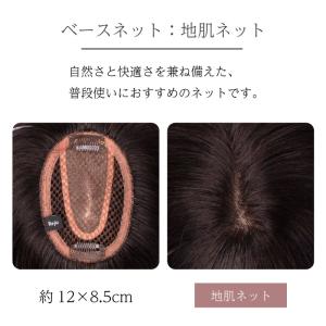返品OK 部分ウィッグ 人毛100% ヘアピー...の詳細画像3