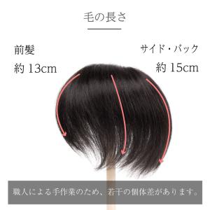 返品OK 部分ウィッグ 人毛100% ヘアピー...の詳細画像2