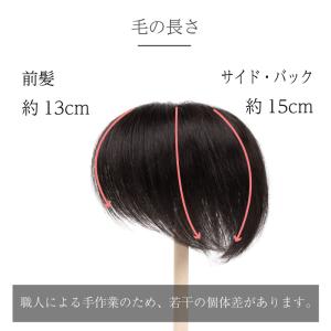 返品OK 部分ウィッグ 人毛100% ヘアピー...の詳細画像2