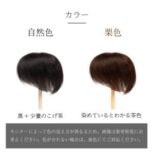 返品OK 部分ウィッグ 人毛100% ヘアピー...の詳細画像4