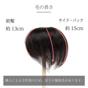 返品OK 部分ウィッグ 人毛100% ヘアピー...の詳細画像2