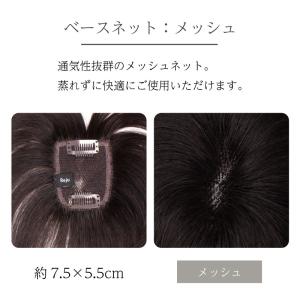 返品OK 部分ウィッグ 人毛100% ヘアピー...の詳細画像3