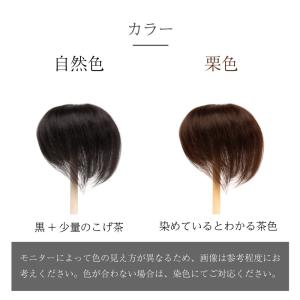返品OK 部分ウィッグ 人毛100% ヘアピー...の詳細画像4
