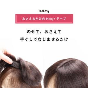 返品OK ピンなしウィッグ メルティプラス 部...の詳細画像2
