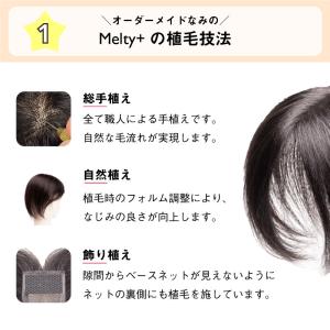 返品OK ピンなしウィッグ メルティプラス 部...の詳細画像4